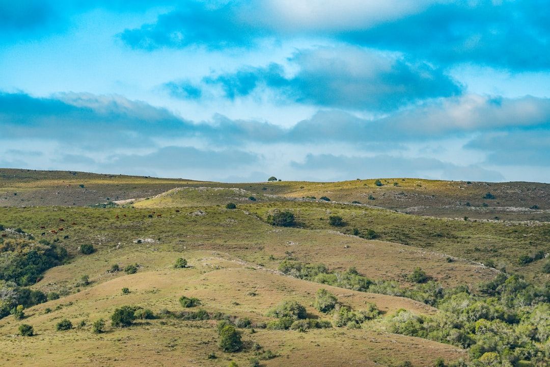 Uruguay countryside nature landscape
